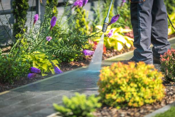 Best Winterizing Services  in Shepherd, MI